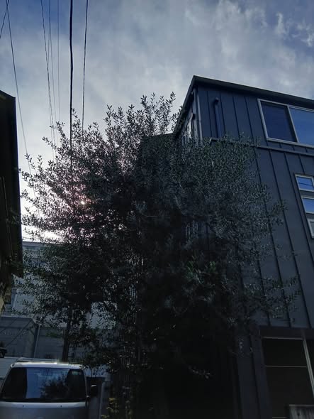 619204379 2743057109360896 6217251707481432718 n - 南青山 御庭番 ０８０１２４