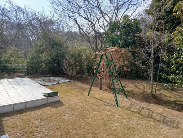 633848483 2763760770623863 506481406146556446 n - 佐島の丘 御庭番 ０８０２１４