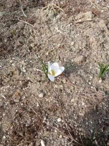 641528838 2774066732926600 6106572377422447303 n 225x300 - 641528838_2774066732926600_6106572377422447303_n