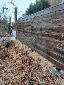 641657572 2775108586155748 2894163218718206369 n 225x300 - 641657572_2775108586155748_2894163218718206369_n