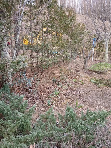 643903073 2776969309303009 6107555941862468019 n - 本宮プリンス・ウィリアムズパーク 御庭番3日目 ０８０２２６