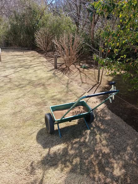 648620823 2785459041787369 4709639186836257859 n - 佐島の丘 御庭番 ０８０３０８