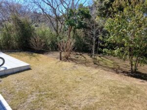 648788919 2785458761787397 7932203235457805888 n 300x225 - 648788919_2785458761787397_7932203235457805888_n