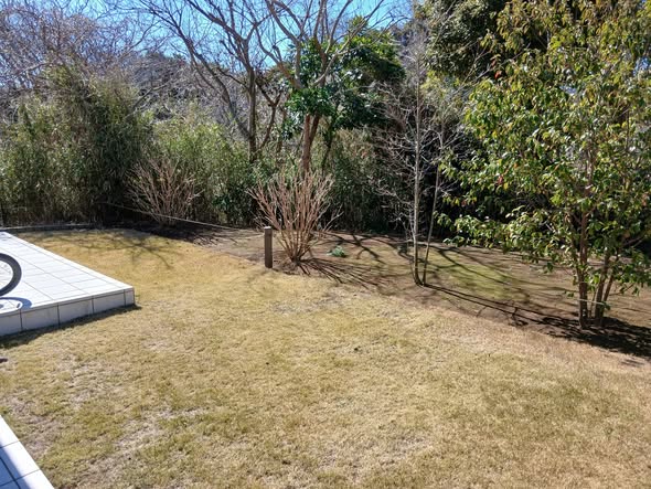 648788919 2785458761787397 7932203235457805888 n - 佐島の丘 御庭番 ０８０３０８