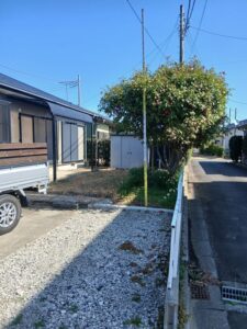 650790898 2788893991443874 5143481463526359822 n 1 225x300 - 650790898_2788893991443874_5143481463526359822_n (1)