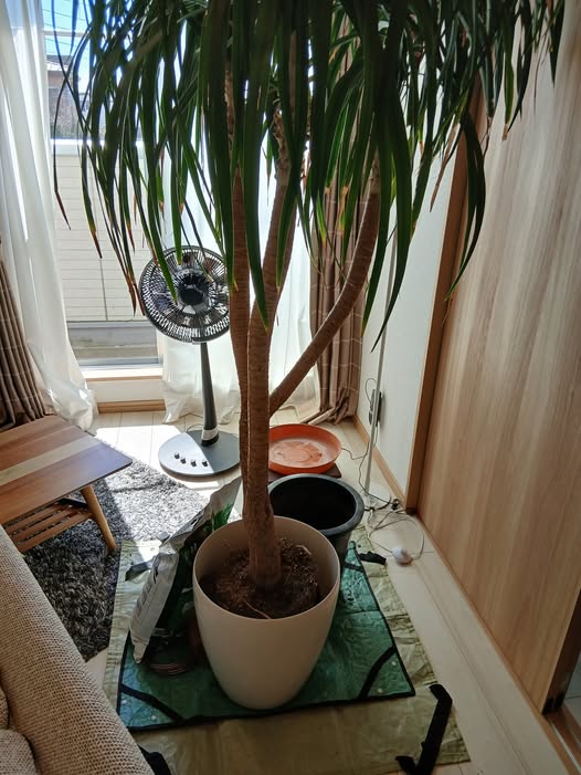 651034757 2791668571166416 5249214330720121457 n - 松戸 御庭番 ０８０３１５