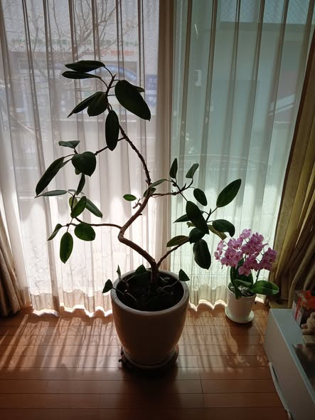 653913283 2798515077148432 171281171083515718 n - 北小岩 御庭番 ０８０３２２