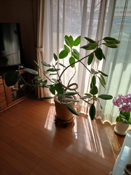 656080586 2798514987148441 8441029116927399528 n - 北小岩 御庭番 ０８０３２２