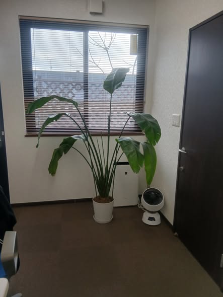 656962929 2803601389973134 1324339148451577011 n - 四街道 御庭番 ０８０３２７