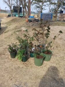 657331007 2800548093611797 2303458706107337593 n 225x300 - 657331007_2800548093611797_2303458706107337593_n