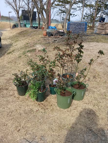 657331007 2800548093611797 2303458706107337593 n - 本宮 御庭番2日目 ０８０３２５