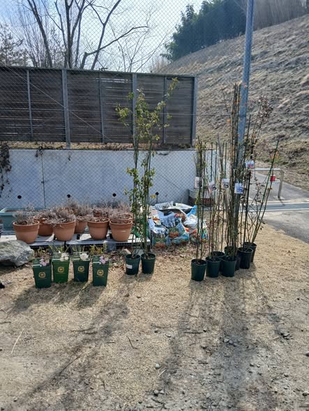 657563782 2800548290278444 5258515188165194436 n - 本宮 御庭番2日目 ０８０３２５