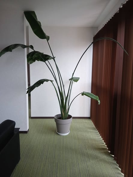 658015932 2803596803306926 8555264414456214249 n - 四街道 御庭番 ０８０３２７