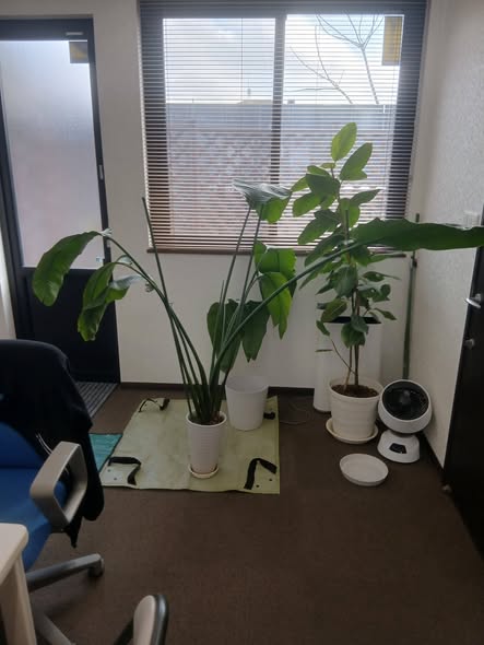 659142812 2803596953306911 1679615757080802125 n - 四街道 御庭番 ０８０３２７