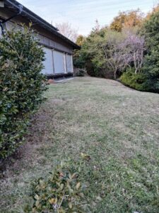 661314680 2810618592604747 7570154159269417203 n 1 225x300 - 661314680_2810618592604747_7570154159269417203_n