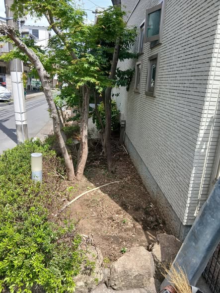 671327578 2820499918283281 7637336011634818578 n - 世田谷 御庭番 ０８０４１４