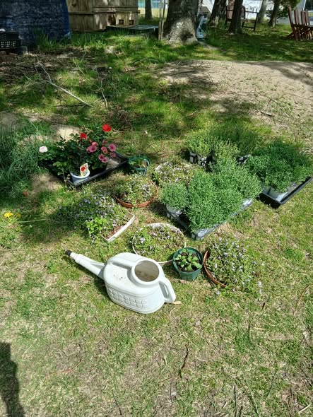 673725417 2825887924411147 7121284026933201681 n - 本宮プリンス・ウィリアムズパーク 御庭番 ０８０４２０