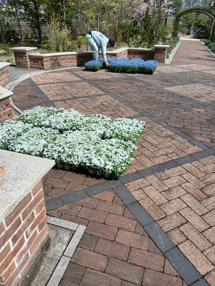 677166362 2825887847744488 8784282987319969014 n - 本宮プリンス・ウィリアムズパーク 御庭番 ０８０４２０