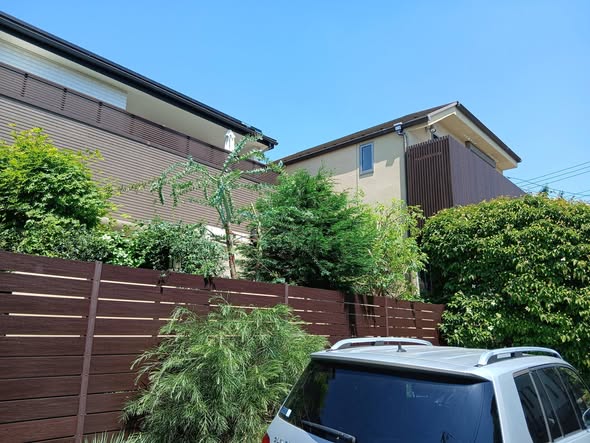 700679779 2852284721771467 7055547594532130778 n - 吉祥寺 御庭番 ０８０５１７