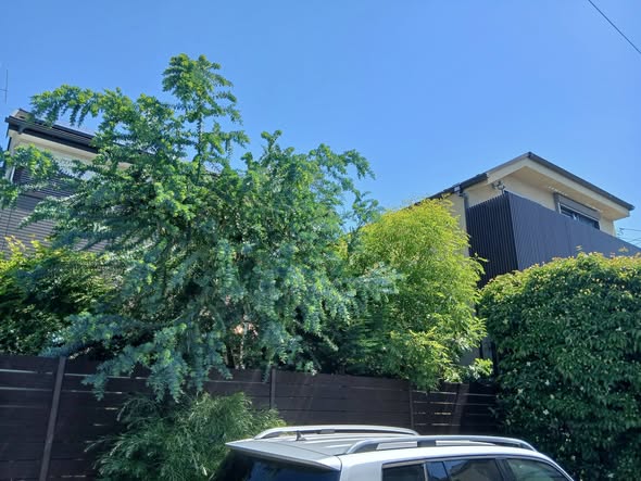 701688389 2852284611771478 7075849647352479608 n - 吉祥寺 御庭番 ０８０５１７