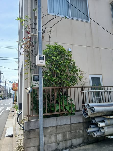 724540439 2882671428732796 5460049095714620364 n - 江戸川 御庭番 ０８０６１６