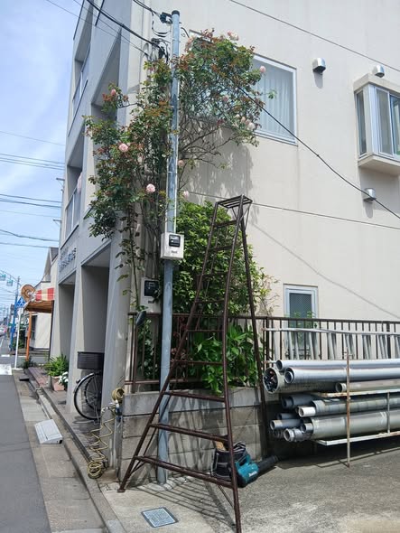 724958711 2882671358732803 4066149544134505012 n - 江戸川 御庭番 ０８０６１６