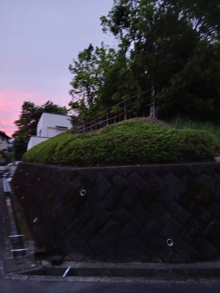 728305794 2887954418204497 1923473258348072015 n - 駿東郡長泉町 御庭番2日目 ０８０６２１