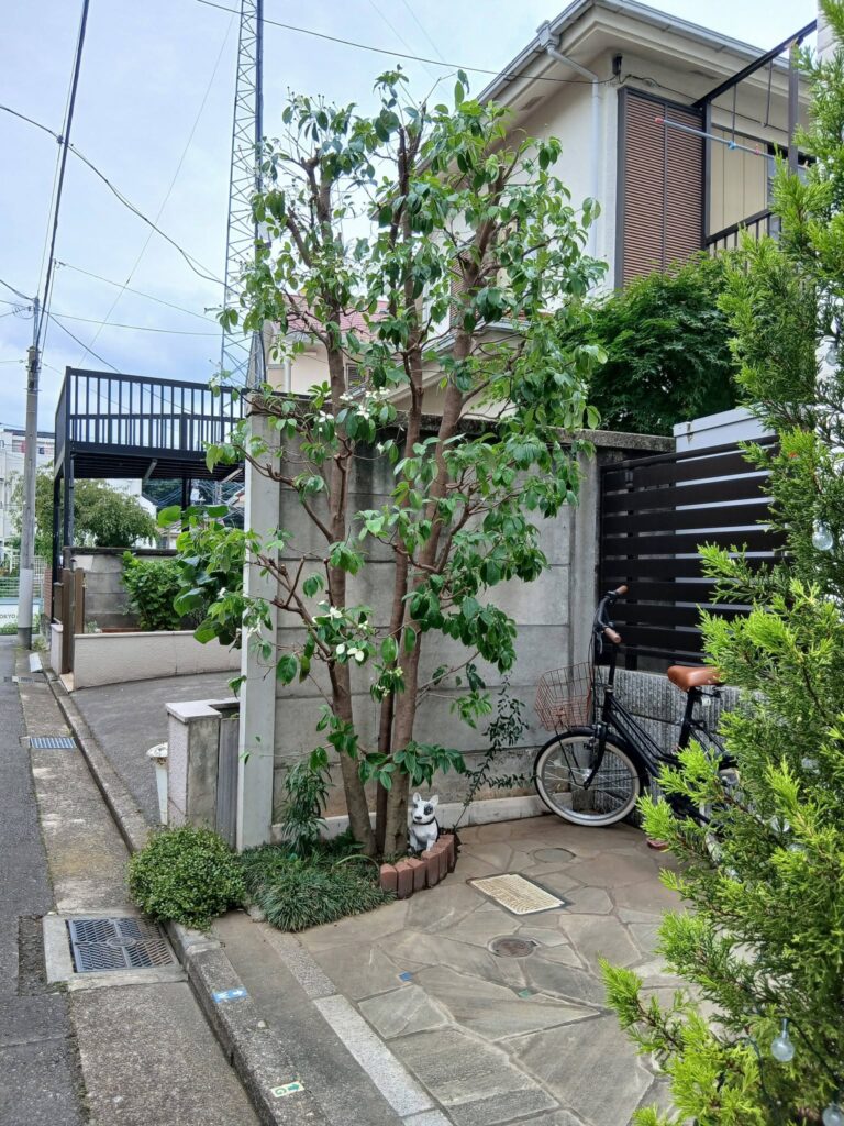 739165220 2903107750022497 5378591178431855028 n 768x1024 - 吉祥寺 御庭番 ０８０７０６