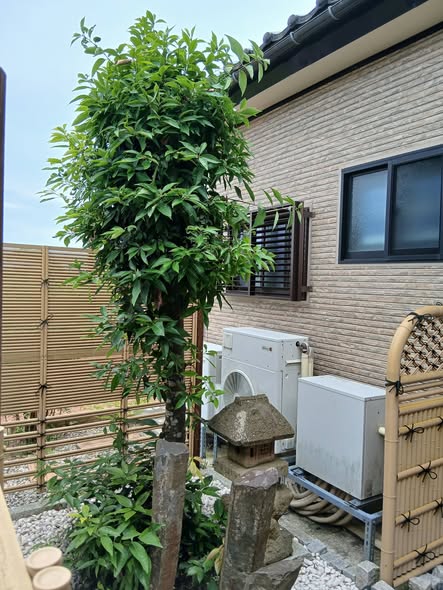 743234529 2908908872775718 7199978673356794324 n - 富山 御庭番 ０８０７１２