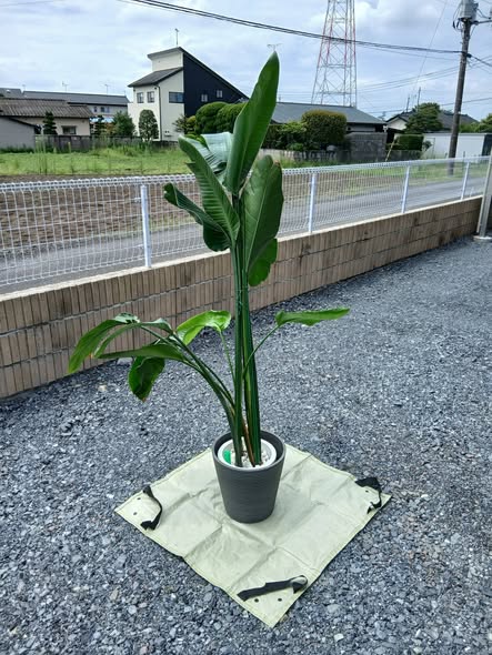 763355858 2931439777189294 974653690917396055 n - さくら市 御庭番 ０８０８０４
