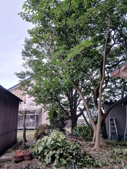 809766933 2972490879750850 1400693229945820483 n - 富山 御庭番3日目 ０８０９１５
