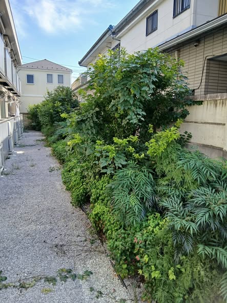844460973 3001529923513612 7348479245883964139 n - 世田谷 御庭番 ０８１０１２